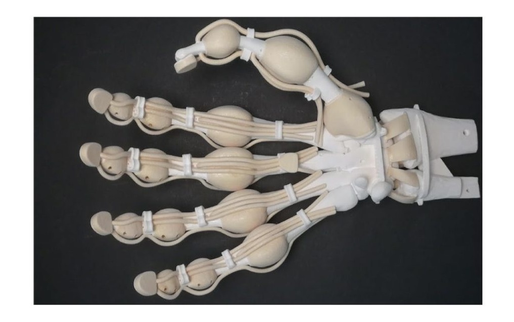 A 3D printed robotic hand with tendons and compliant joints