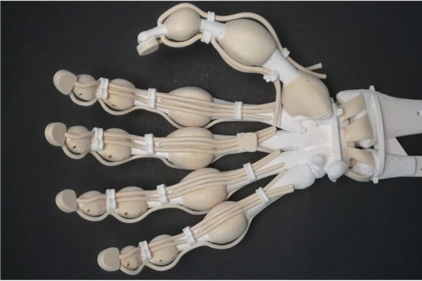 3D printed robotic hand with tendons