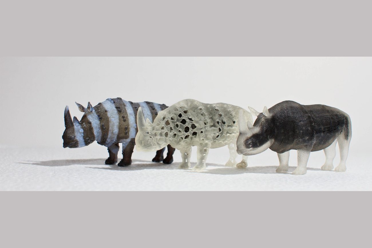Multi-material 3D printed rhinoceros models